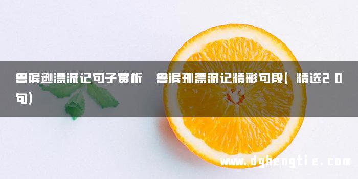 鲁滨逊漂流记句子赏析 鲁滨孙漂流记精彩句段（精选20句）